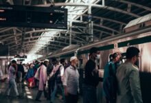 genshin plugboxlinux functionality explained