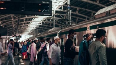 genshin plugboxlinux functionality explained