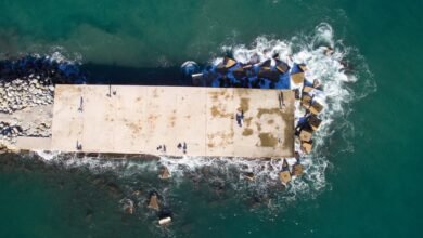 gogreensfa login overview details