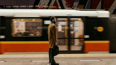 greta santos companion platform explanation