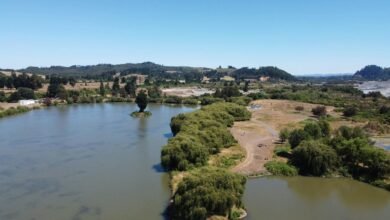 hd movie point summary