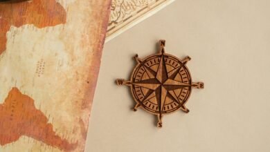 hdmovie2 informational guide overview