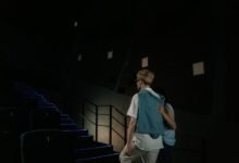 hdmoviemaza website comprehensive overview