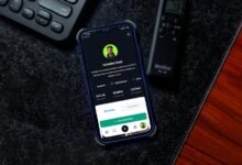 hdpornco platform functionality explained