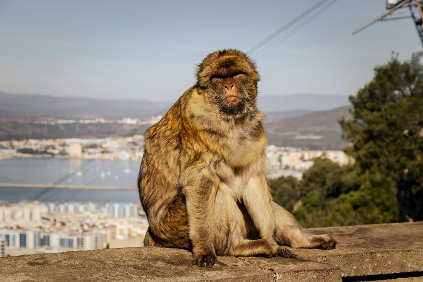 hdporntube comprehensive usage guide