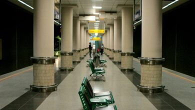 hentigasm platform functionality overview