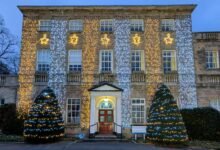 hindi movie link provider