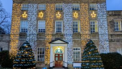 hindi movie link provider