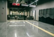 incestlix platform informational guide