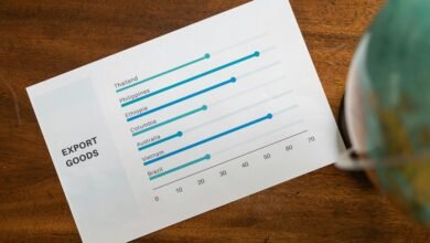 kashyeportazza informational significance overview