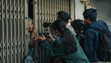 community reports on observations