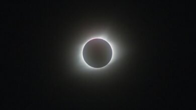 eclipse core profit path
