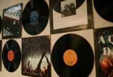 fine art monitoring guide