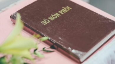 network registry and feedback