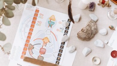 pleimodi guide for beginners