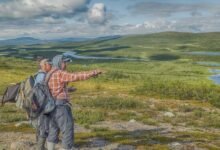 the ultimate guide tips