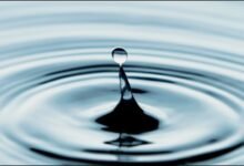 top facts about water composition