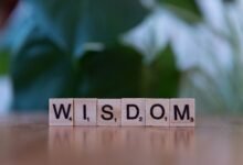 top reasons to learn about 2067022783